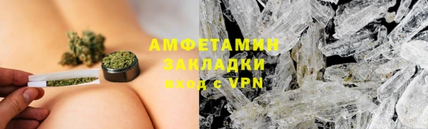 индика Елабуга