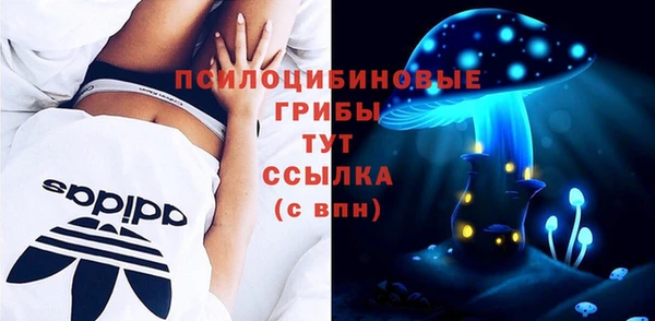 соль ск Елизово
