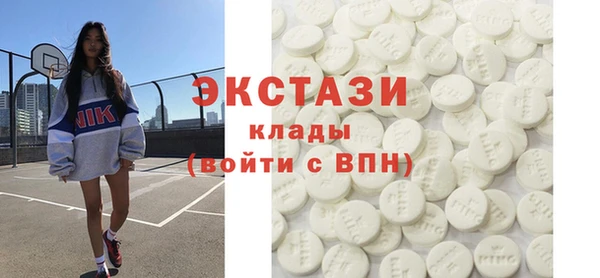 гашик Ельня