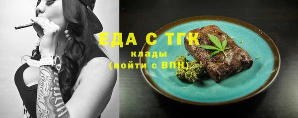 гашик Ельня