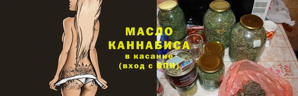 индика Елабуга
