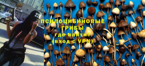 индика Елабуга