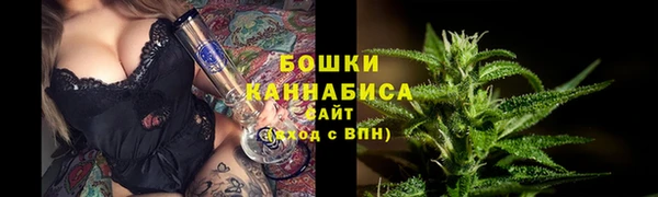 индика Елабуга