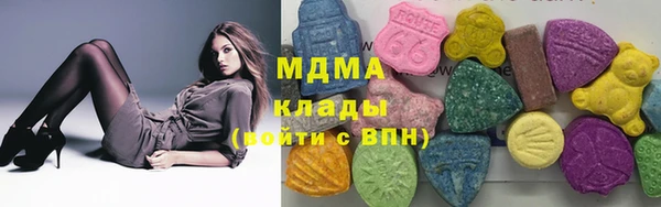 гашик Ельня
