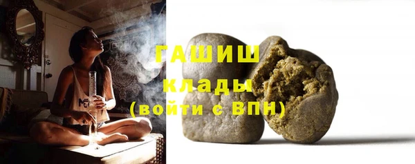 гашик Ельня