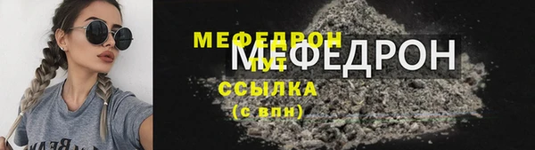 гашик Ельня