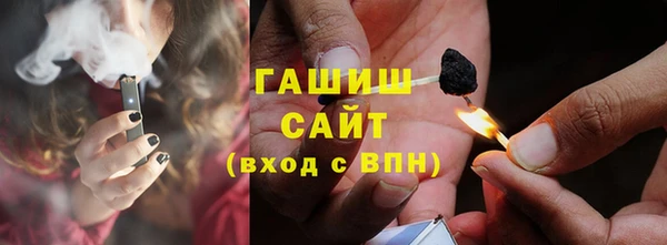 индика Елабуга