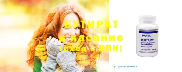 индика Елабуга