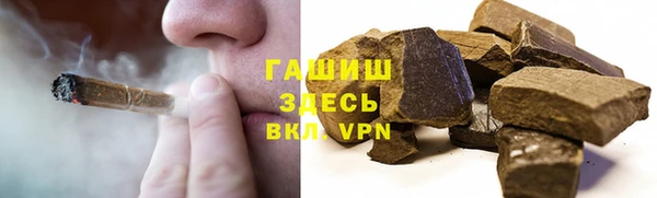 индика Елабуга