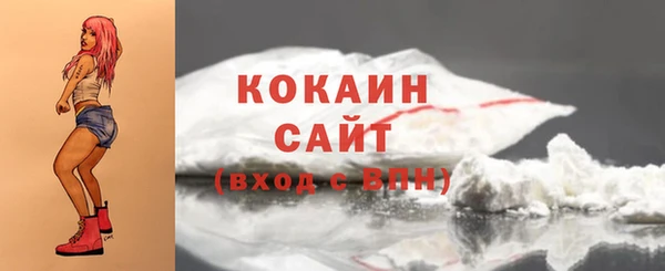 индика Елабуга