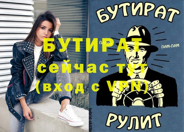 гашик Ельня