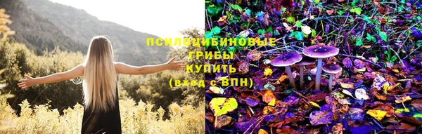 соль ск Елизово