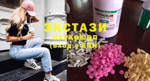 гашик Ельня