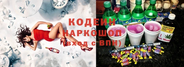 индика Елабуга