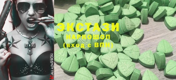 индика Елабуга