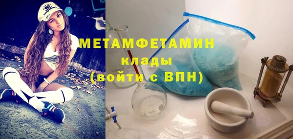 индика Елабуга