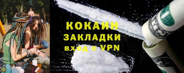 гашик Ельня