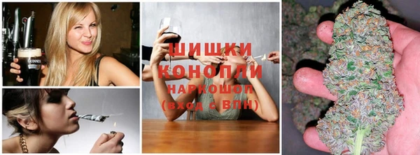 индика Елабуга