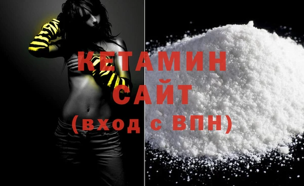 индика Елабуга